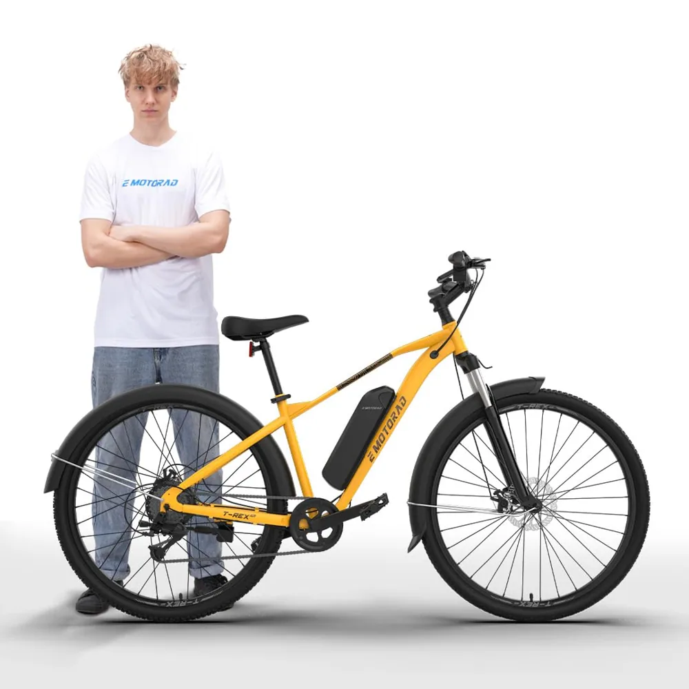 EMotorad T-Rex Air 29"